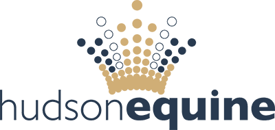 Logo 1