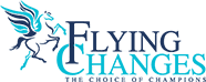 Logo 2