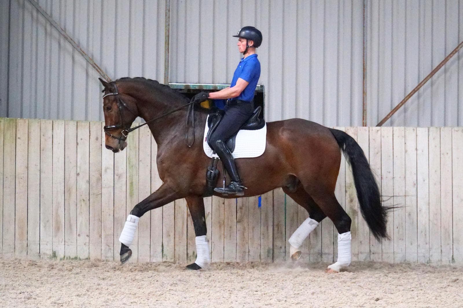 Jillz Geusenhof Image